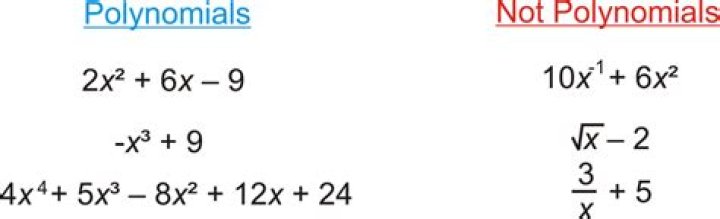 Why can't polynomials have negative exponents or division by a variable