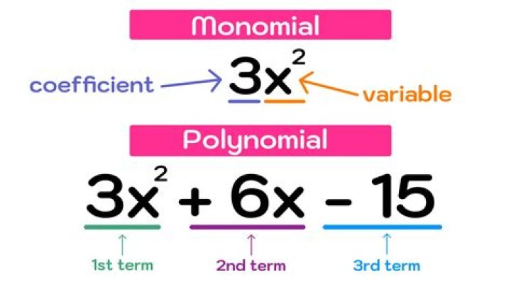 Why is absolute value function not a polynomial? [closed]