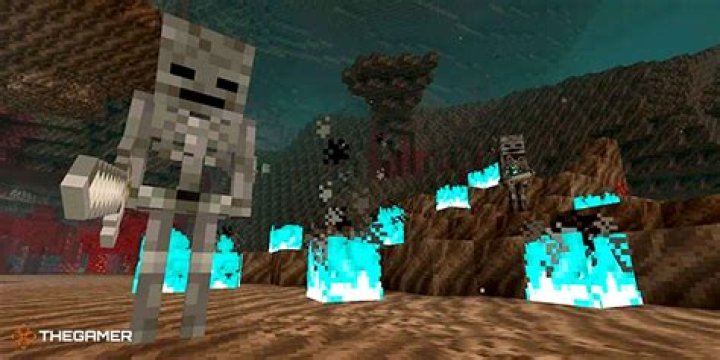 Why isn't my Minecraft wither skeleton farm spawning any wither skeletons?