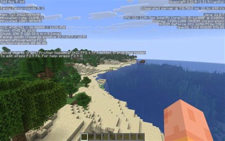 Why wont Minecraft debug screen appear
